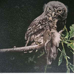 Titre : la nuit est sombre et plein de terreur