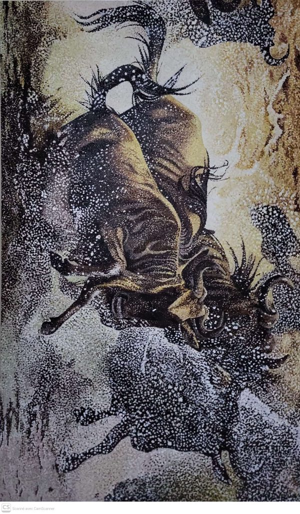 La traversée des Gnou